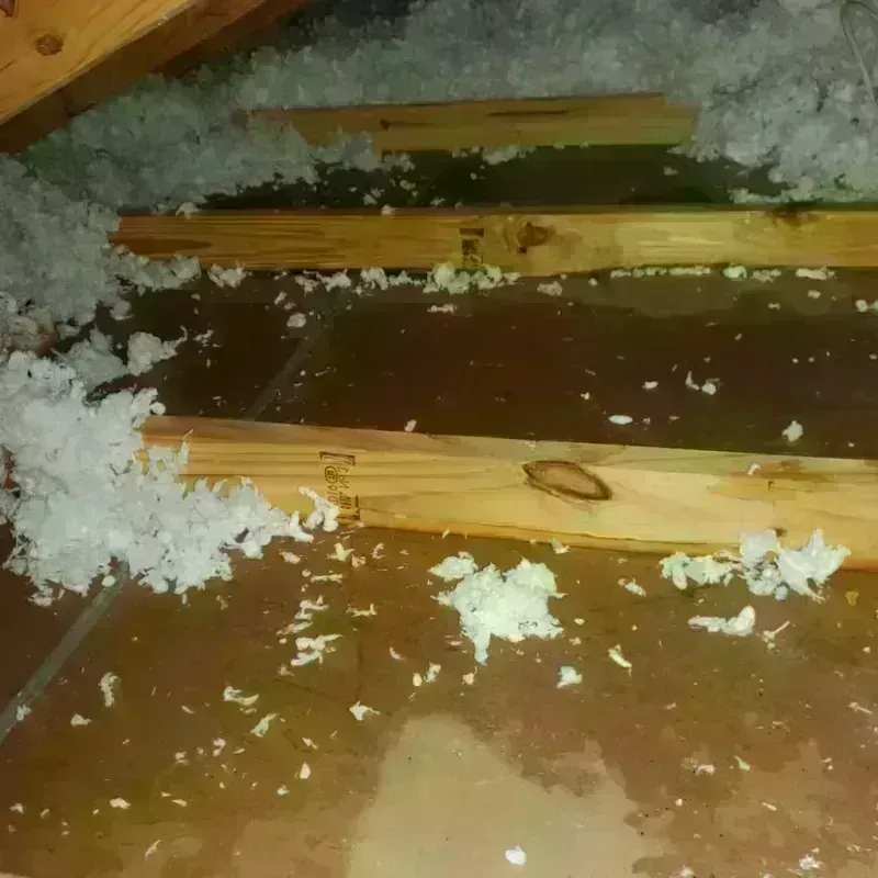 Attic Water Damage in Henderson, NC