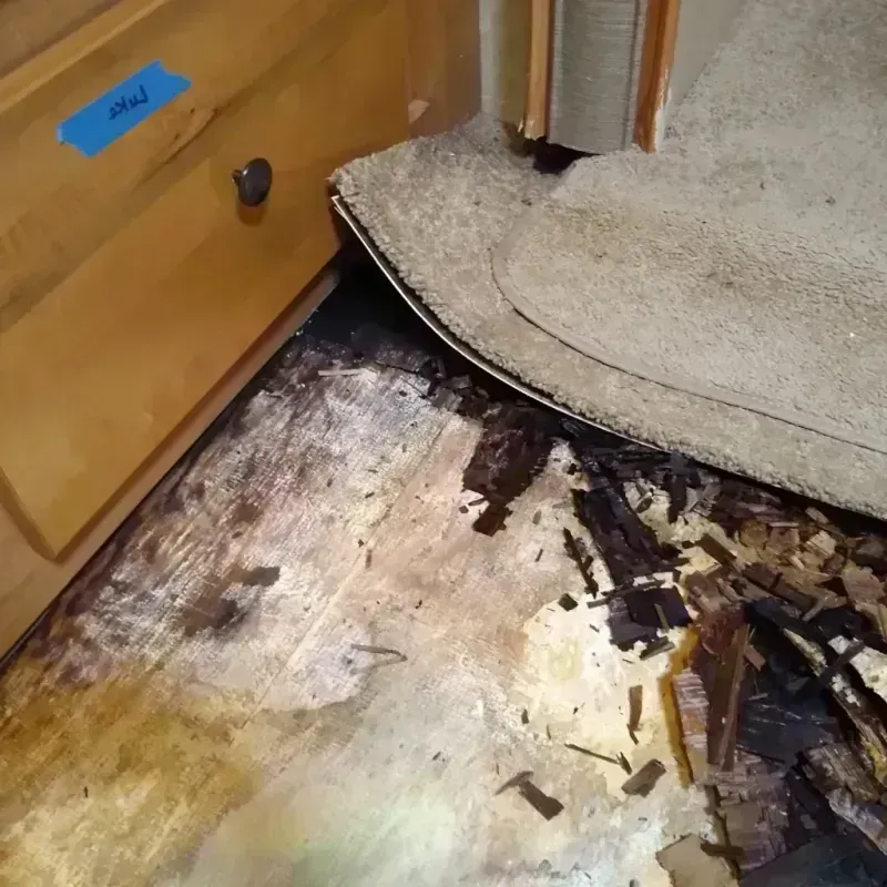 Wood Floor Water Damage in Henderson, NC